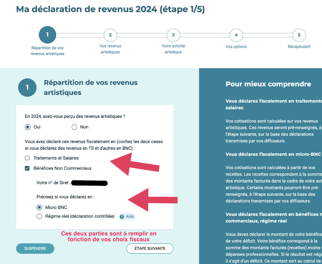 copie d'écran de la déclaration Urssaf Artiste Auteur